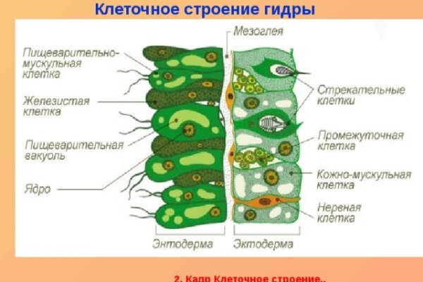 Mega зеркало сайта