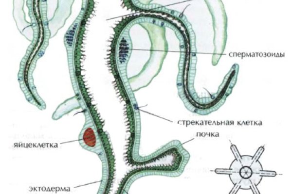 Магазин мега даркнет