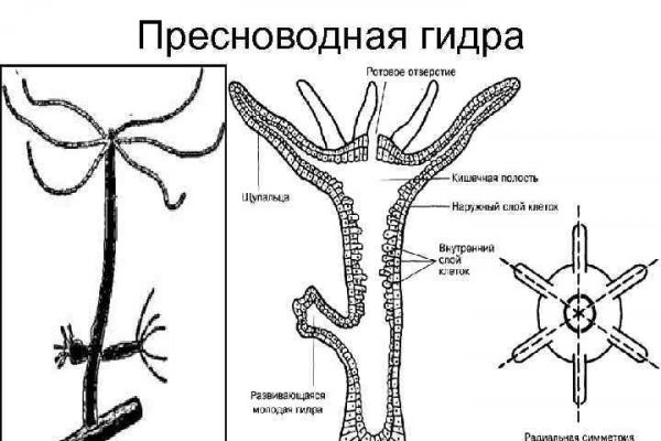 Мега ссылка через впн